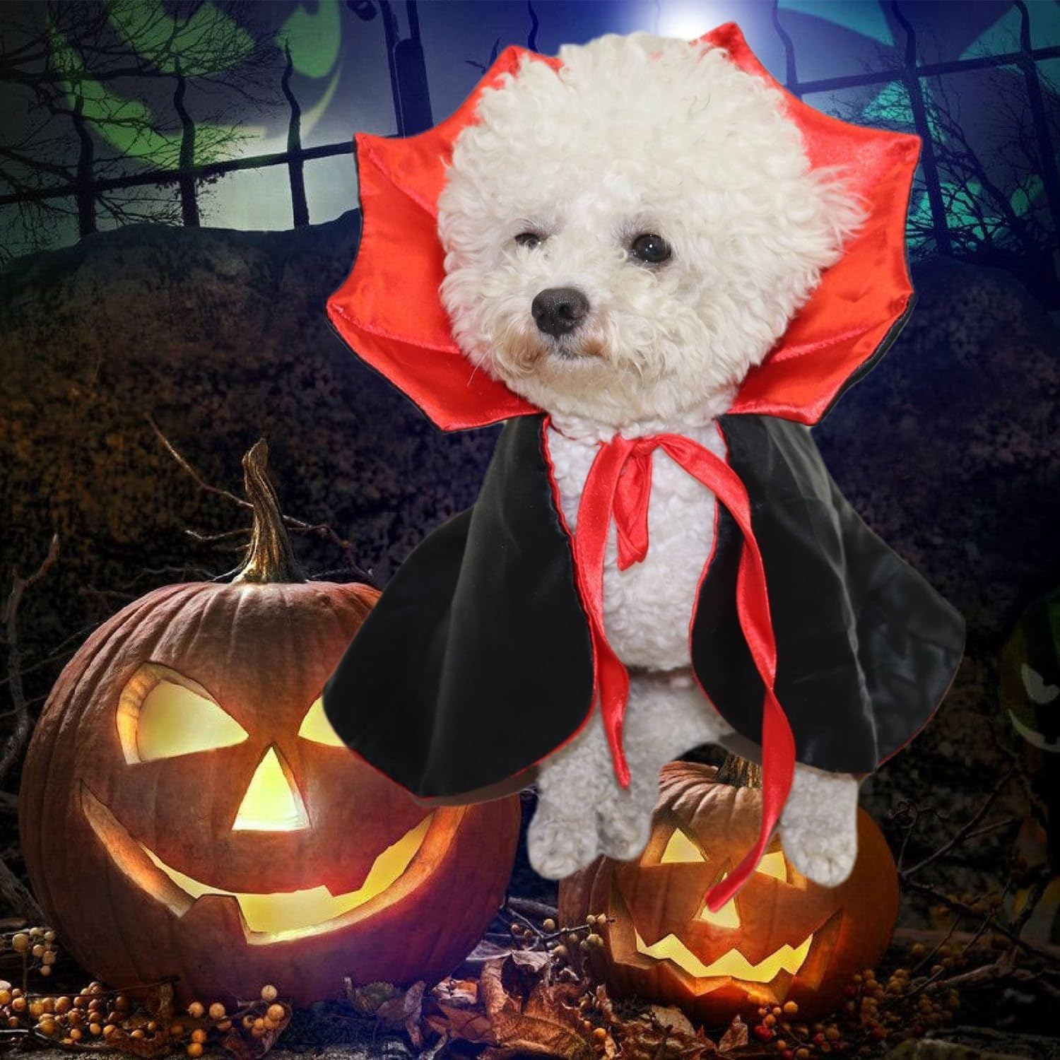 Cute Halloween Pet Costume