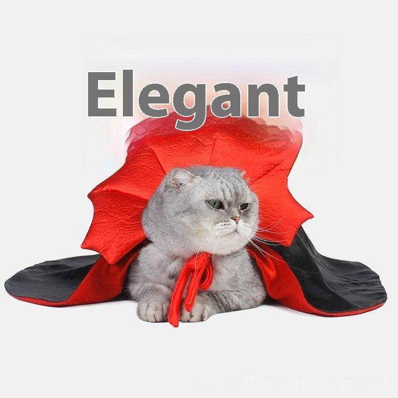 Cute Halloween Pet Costume