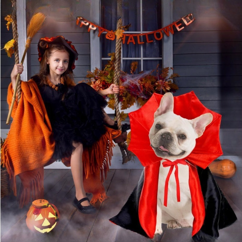 Cute Halloween Pet Costume