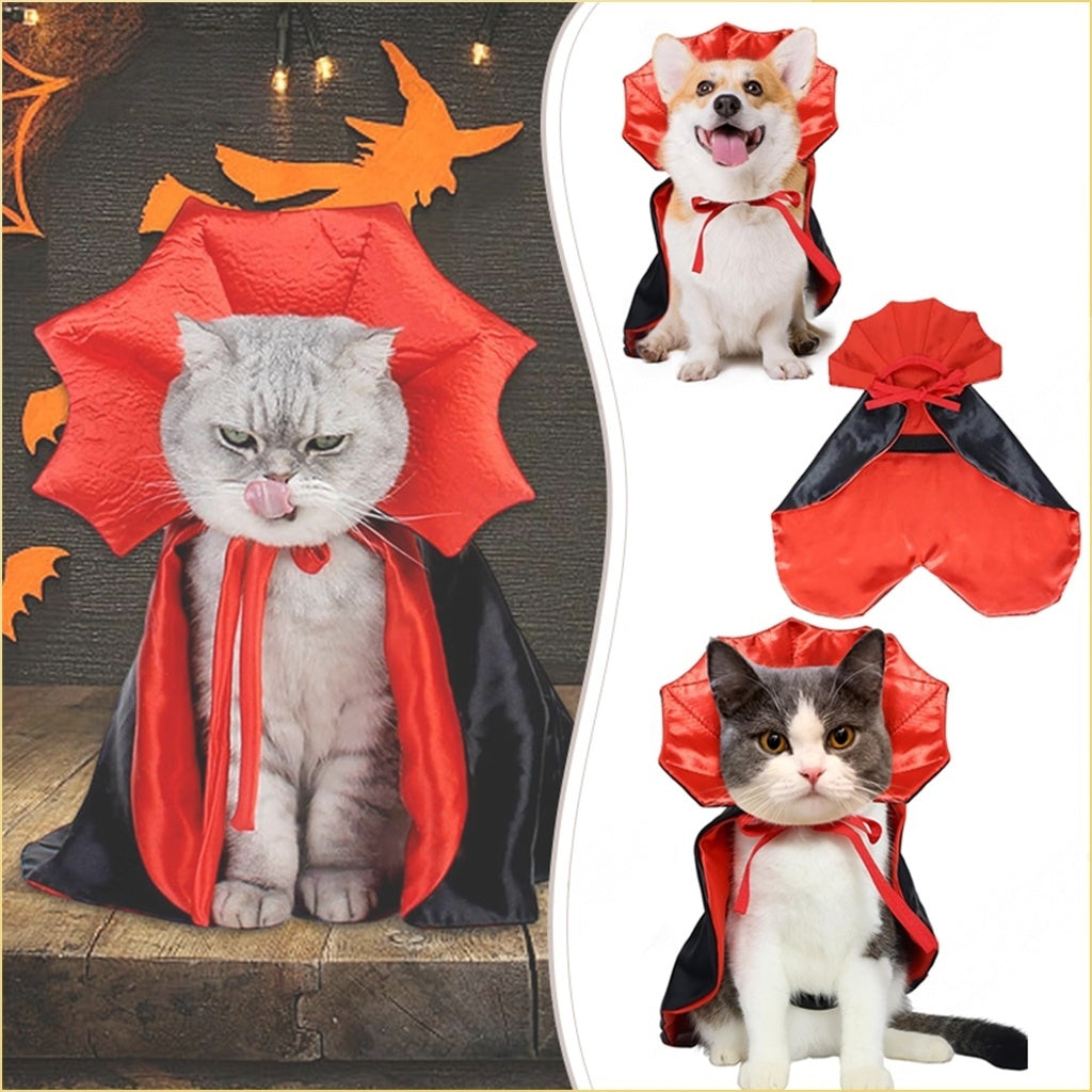 Cute Halloween Pet Costume