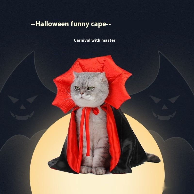 Cute Halloween Pet Costume